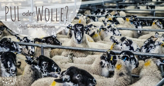Wollüberhosen vs Stoffwindeln